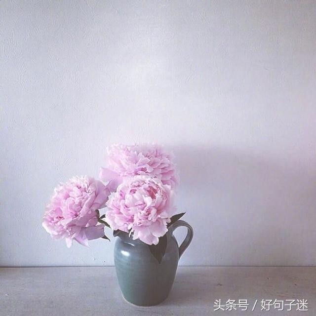 微信朋友圈最走心的爱情语录短句网络很流行很火！