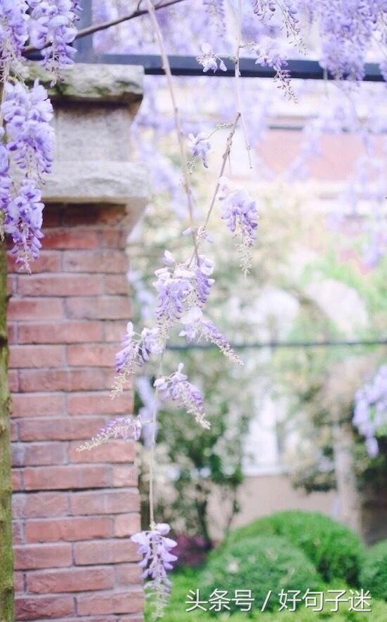 微信朋友圈最走心的爱情语录短句网络很流行很火！