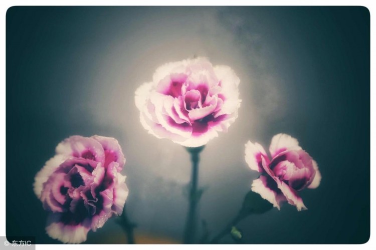 深夜美文微信时代的爱情