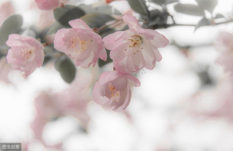 20个伤感爱情句子：一删微信便是永别愿你天黑有灯下雨有伞