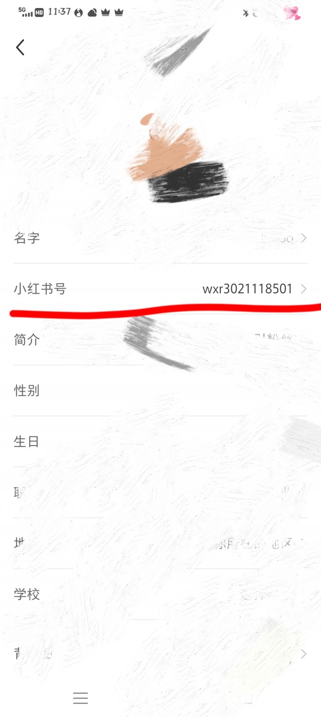 小红书怎么引流