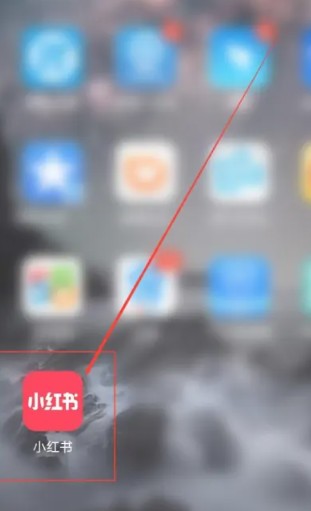 怎么知道别的小红书号呢